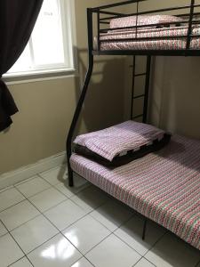 toronto travellers home