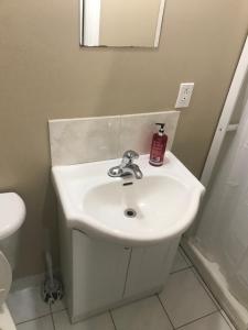 toronto travellers home