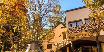 lodge scole