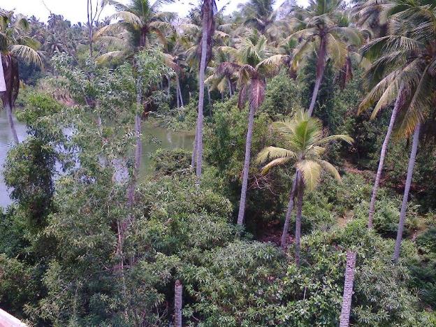 poovar