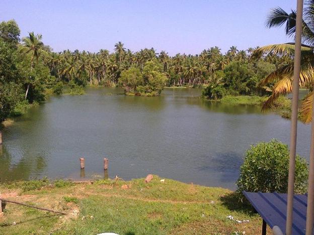 poovar