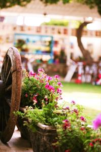 gumuldur mavi deniz otel