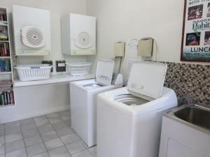 lazy lizard motor inn