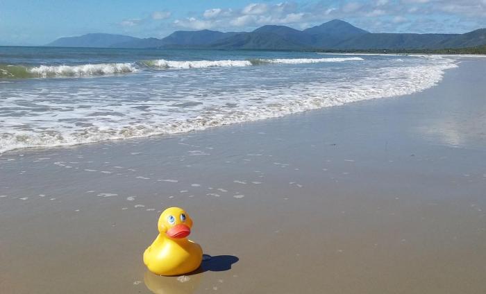 by the sea port douglas