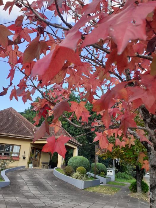 pousada villa allegro