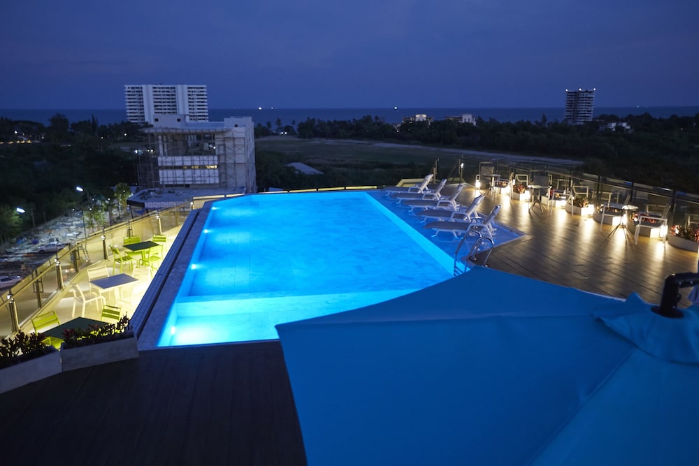 whale hua hin