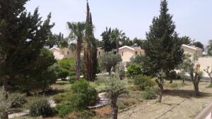 natura beach hotel and villas