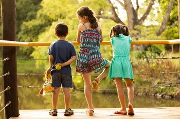 hotel maitei posadas