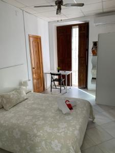 sevilla dream hostel