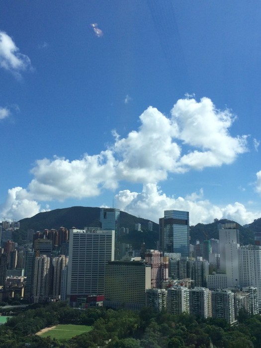 twenty one whitfield