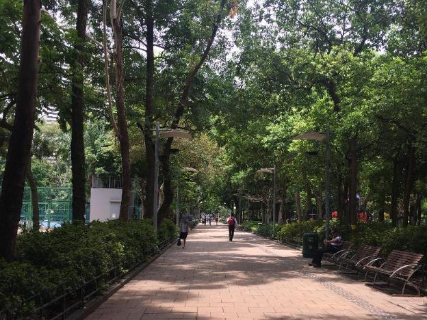 twenty one whitfield