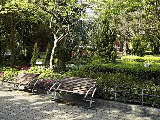 twenty one whitfield