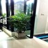 the one boutique hotel