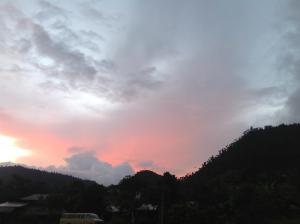 mindo