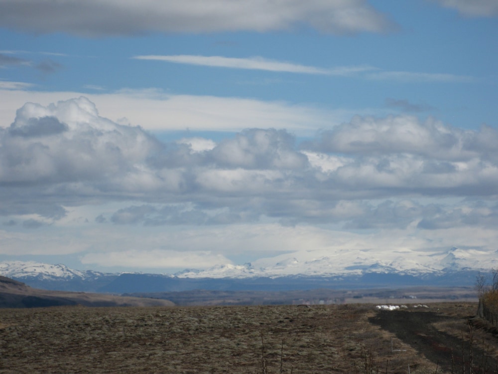 selfoss