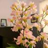 gomang boutique hotel