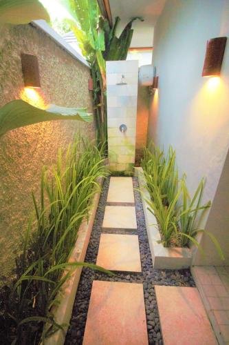 kuta