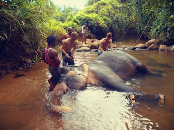 sapphire holiday resort