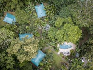 El Nido Jungle Lodge,Limon>>Cahuita,3 star
