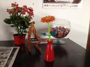 casamatta hostel