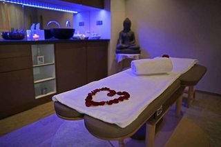 Mercure Bale Mulhouse Aeroport,Blotzheim>>Alsace,4 star