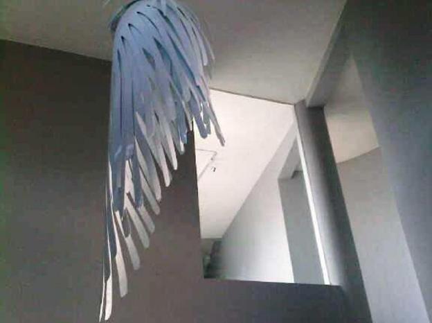 scala bed and beyond