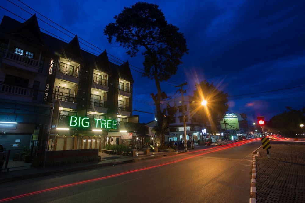 big tree old town hotel