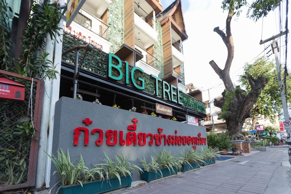 big tree old town hotel