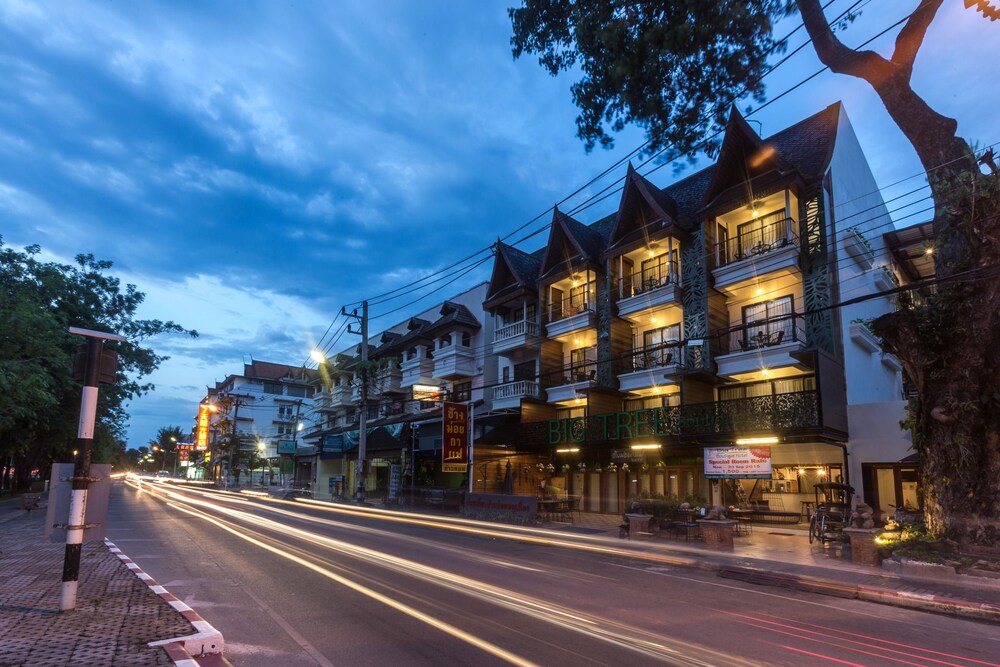 big tree old town hotel