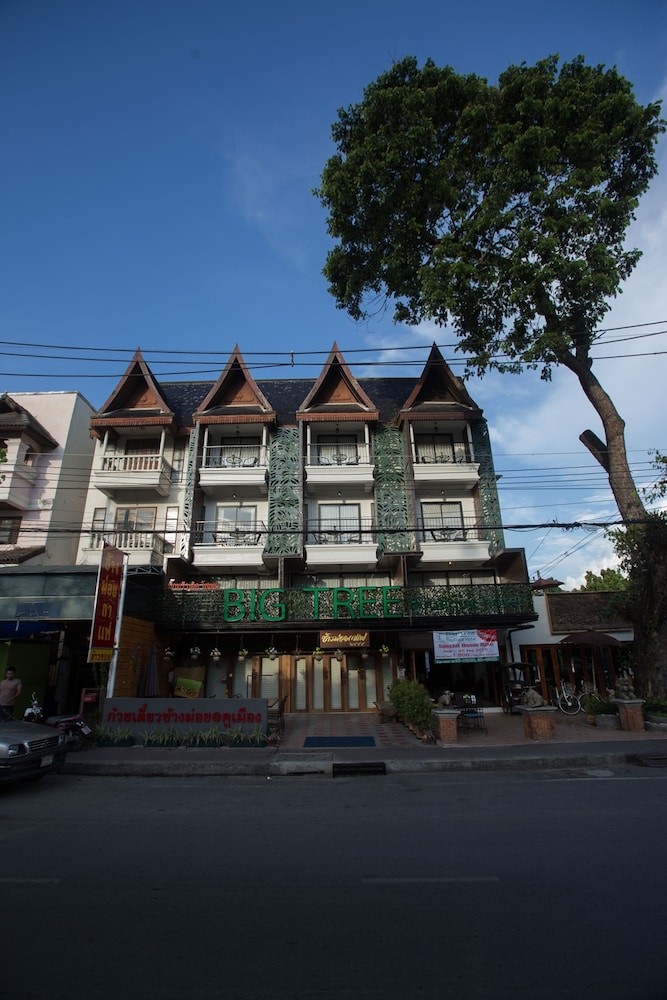 big tree old town hotel