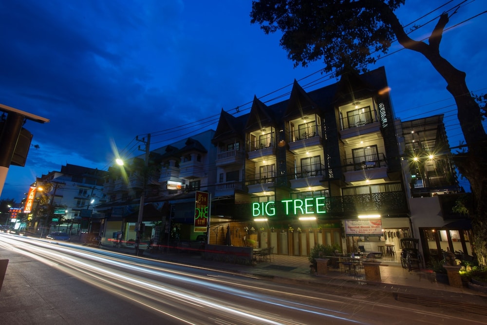 big tree old town hotel
