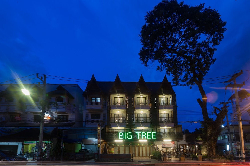 big tree old town hotel