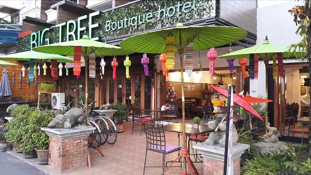 big tree old town hotel