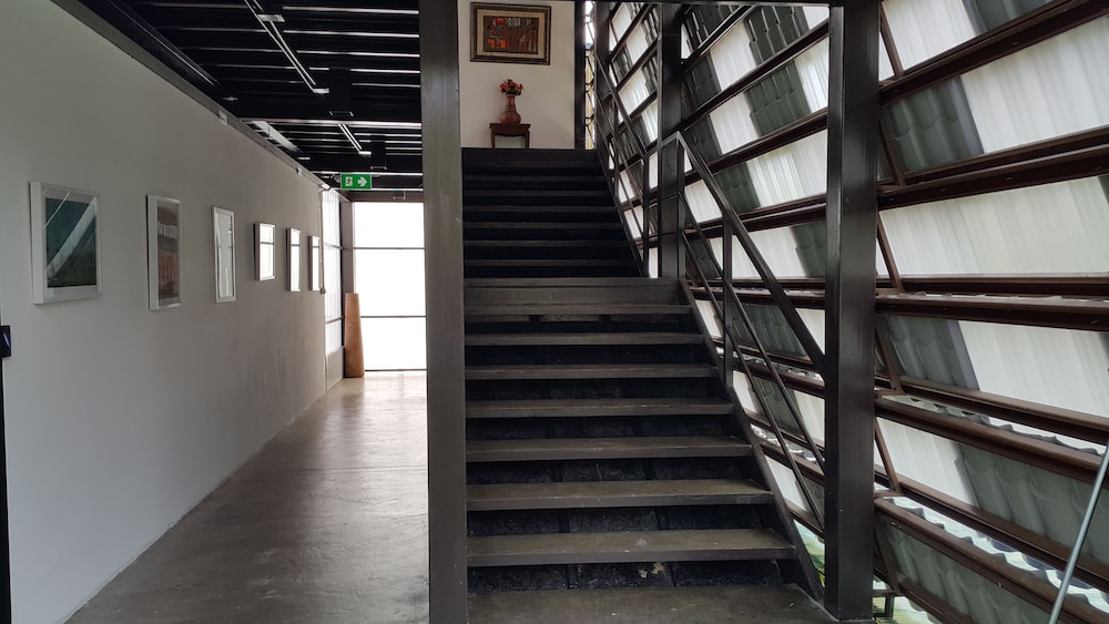 big tree old town hotel