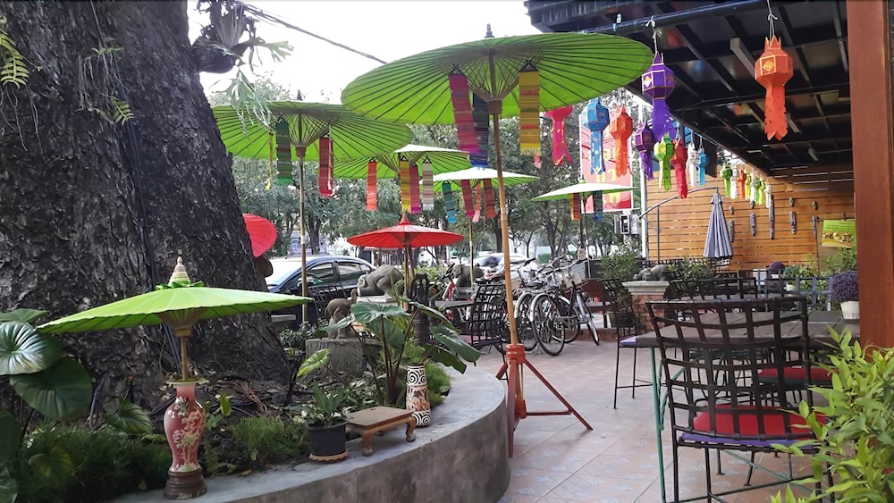 big tree old town hotel