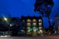 big tree old town hotel