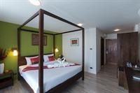 big tree old town hotel