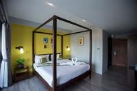 big tree old town hotel