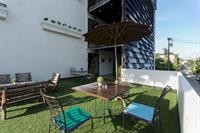 big tree old town hotel