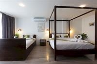 big tree old town hotel