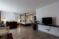 big tree old town hotel