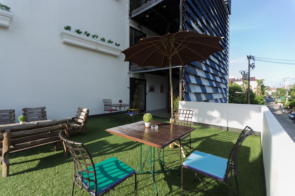 big tree old town hotel