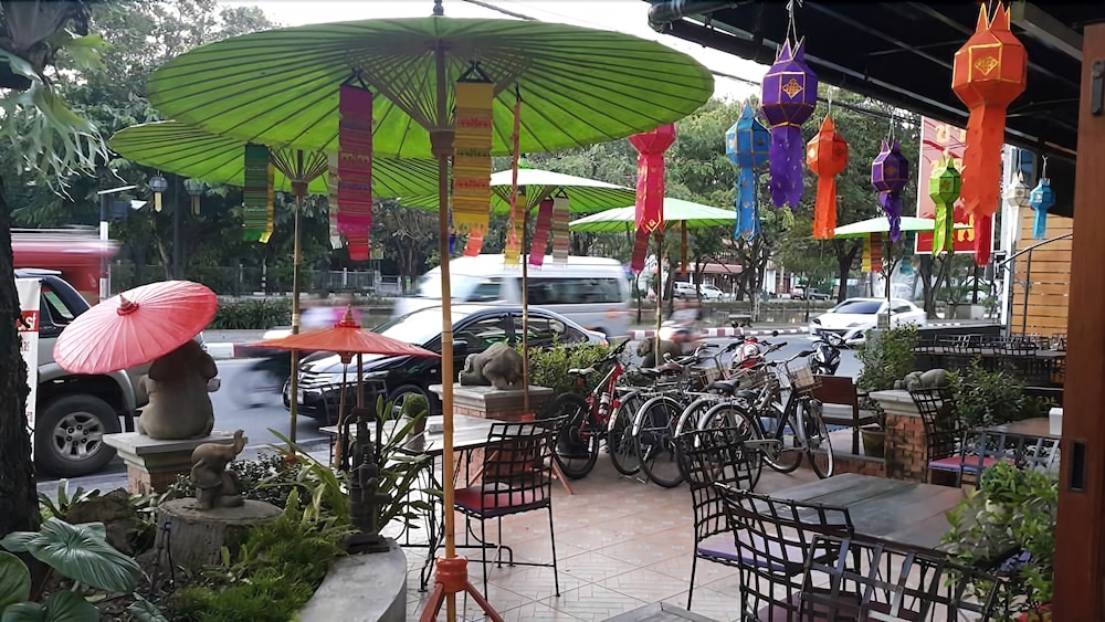 big tree old town hotel