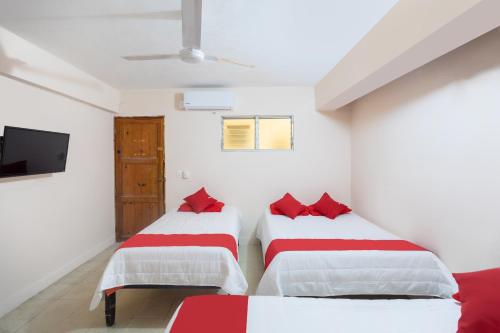 hotel rosa del alba