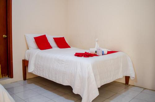 hotel rosa del alba