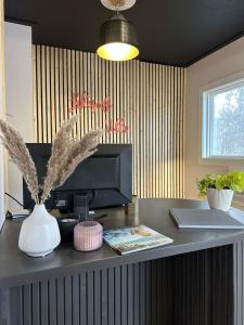 lakeside villa and nordic spa