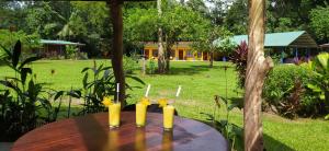 Gran Gavilan Del Sarapiqui Lodge,La Virgen>>Heredia,3 star