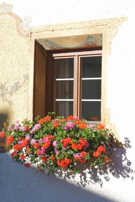 pension der steinbock das bauernhaus