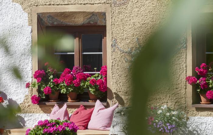 pension der steinbock das bauernhaus