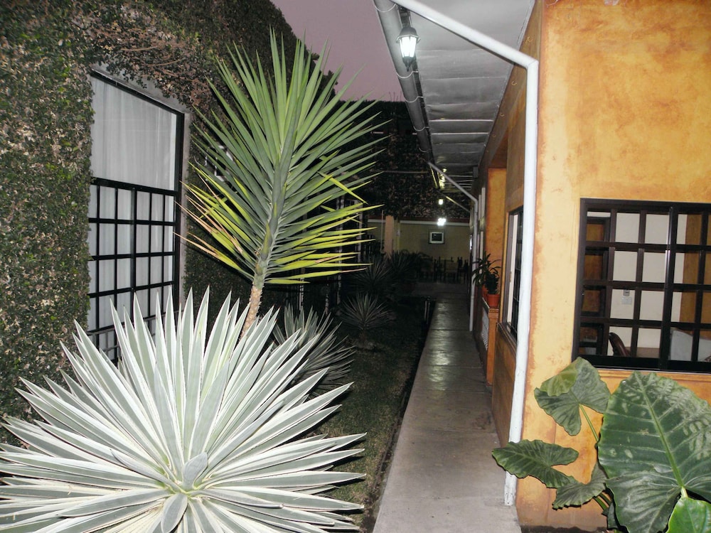 tapachula